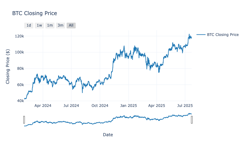 Bitcoin price evolution from February 2024 to July 2025 showing upward trend with drawdown-rally cycles